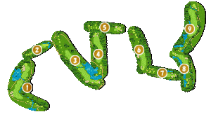 コース全体俯瞰図