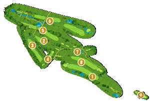 コース全体俯瞰図