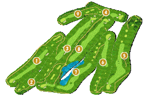 コース全体俯瞰図