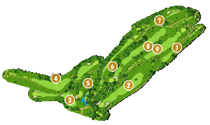 コース全体俯瞰図