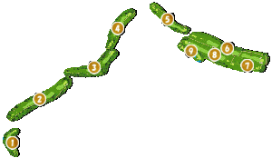 コース全体俯瞰図