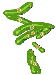 コース全体俯瞰図