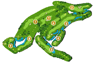 コース全体俯瞰図