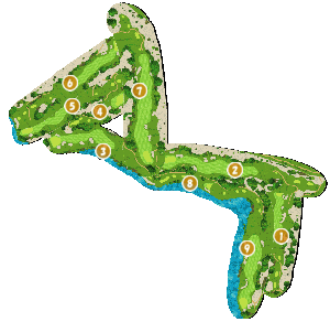 コース全体俯瞰図