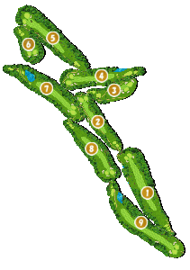 コース全体俯瞰図