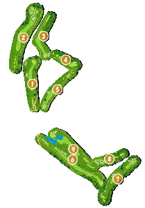 コース全体俯瞰図