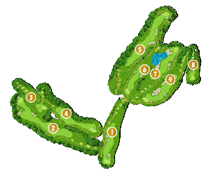 コース全体俯瞰図