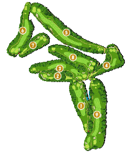 コース全体俯瞰図