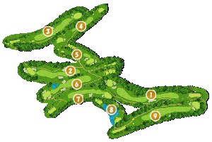 コース全体俯瞰図