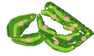 コース全体俯瞰図