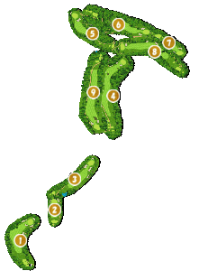 コース全体俯瞰図