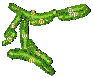 コース全体俯瞰図