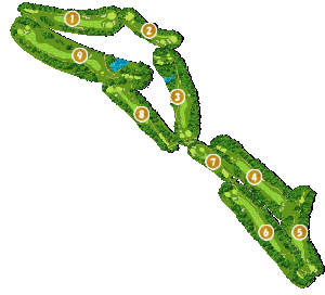 コース全体俯瞰図