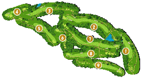 コース全体俯瞰図