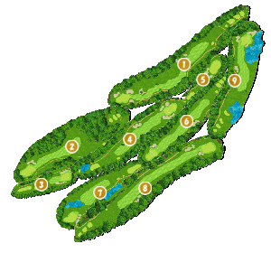 コース全体俯瞰図