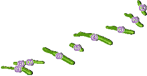 コース全体俯瞰図