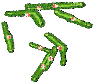 コース全体俯瞰図