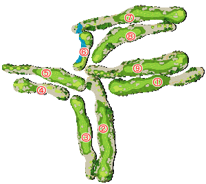 コース全体俯瞰図