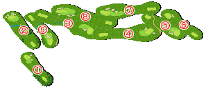 コース全体俯瞰図