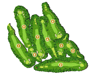 コース全体俯瞰図