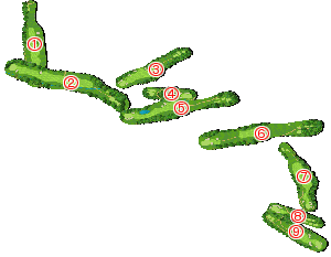 コース全体俯瞰図