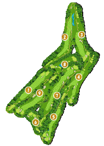 コース全体俯瞰図