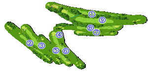 コース全体俯瞰図