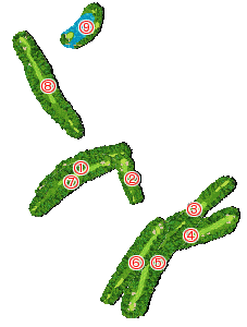 コース全体俯瞰図