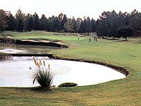 六甲国際ゴルフ倶楽部の写真